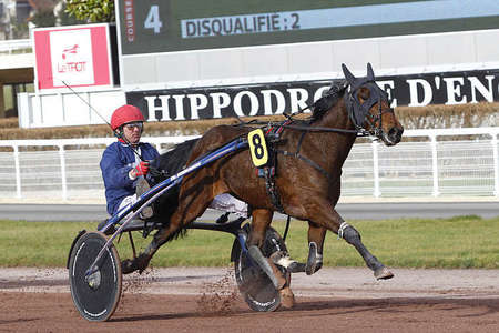 Actualités Hippiques